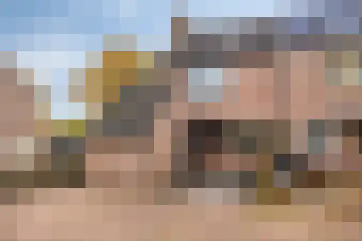 Singelberg 18 Hardenberg thumbnail 5