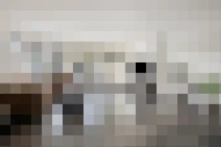 Singelberg 18 Hardenberg thumbnail 6
