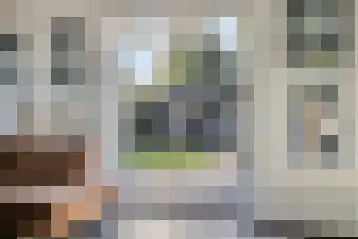 Singelberg 18 Hardenberg thumbnail 7
