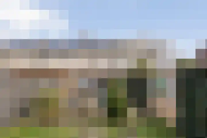 Singelberg 60 Hardenberg thumbnail 33