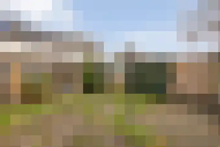 Singelberg 60 Hardenberg thumbnail 38