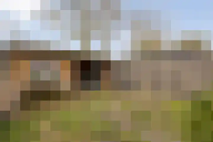 Singelberg 60 Hardenberg thumbnail 39