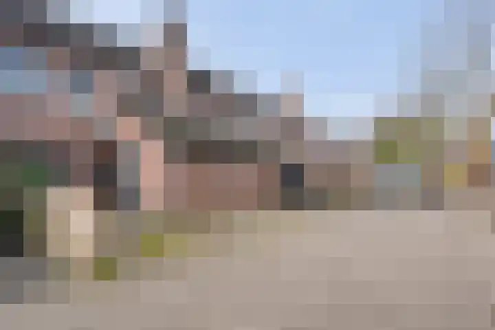 Singelberg 60 Hardenberg thumbnail 4