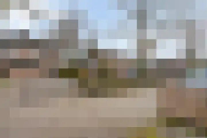 Singelberg 60 Hardenberg thumbnail 44
