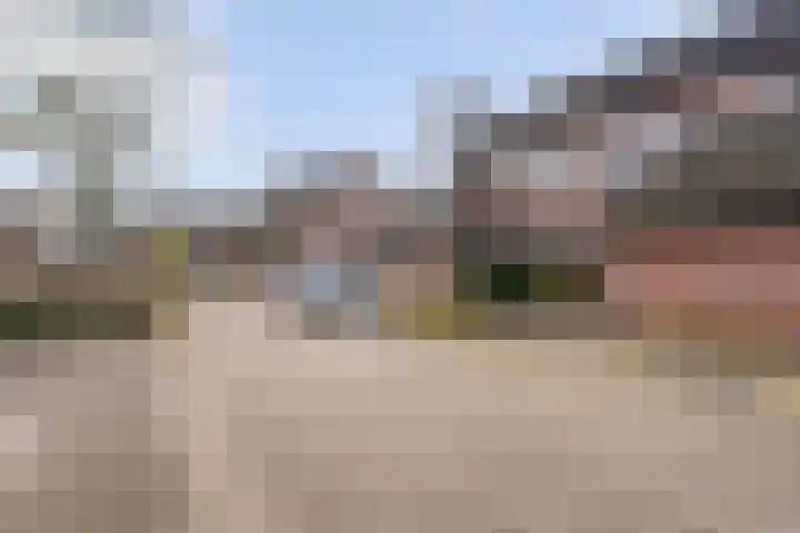 Singelberg 60 Hardenberg thumbnail 46