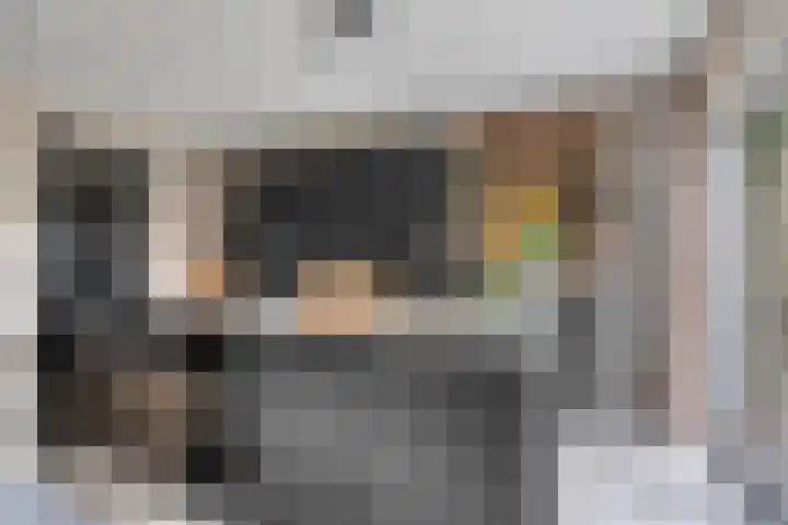 Singelberg 62 Hardenberg thumbnail 10