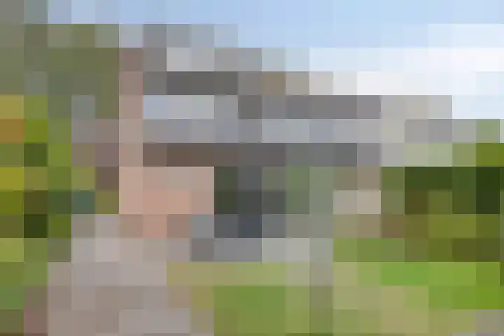 Singelberg 62 Hardenberg thumbnail 27
