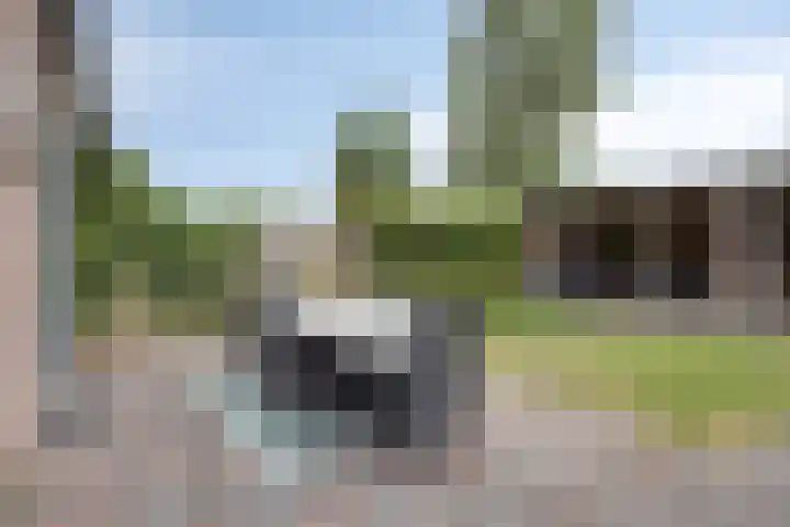 Singelberg 62 Hardenberg thumbnail 28