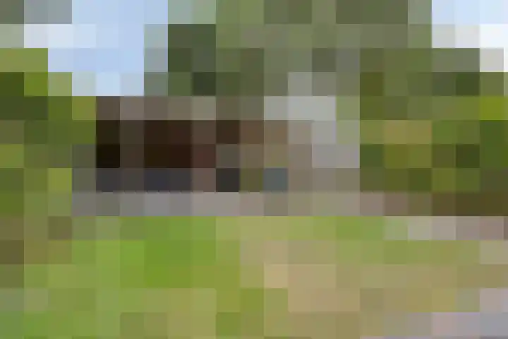 Singelberg 62 Hardenberg thumbnail 29