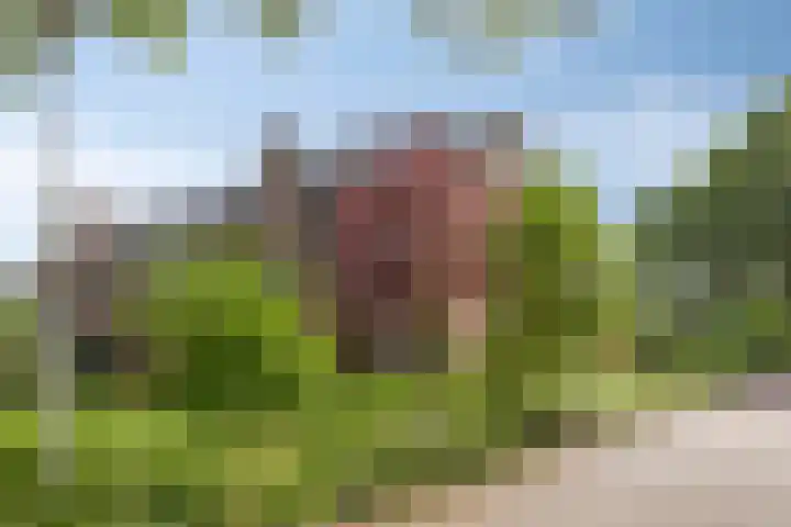 Singelberg 62 Hardenberg thumbnail 30