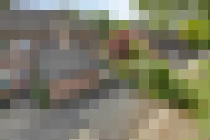 Singelberg 62 Hardenberg thumbnail 31