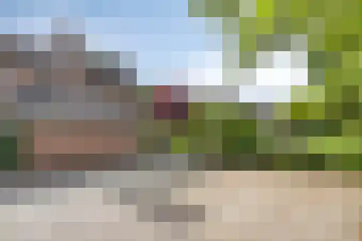 Singelberg 62 Hardenberg thumbnail 32