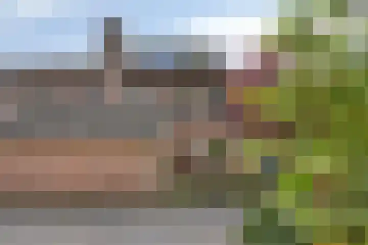 Singelberg 62 Hardenberg thumbnail 5