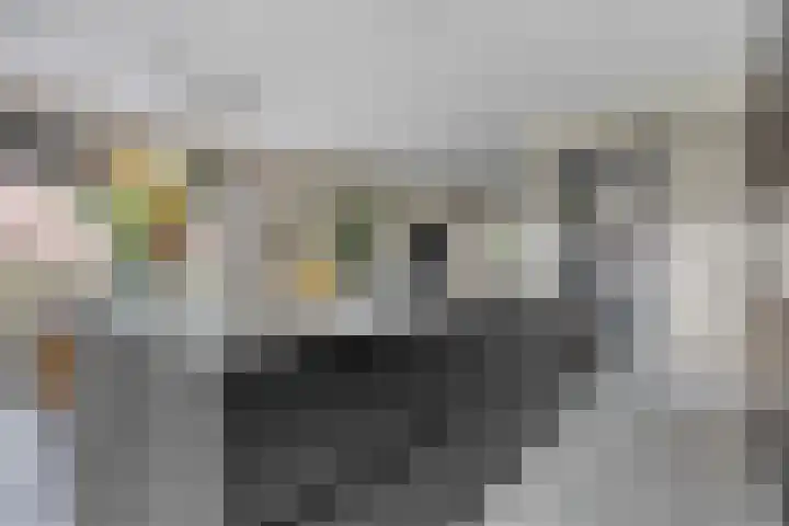 Singelberg 62 Hardenberg thumbnail 6