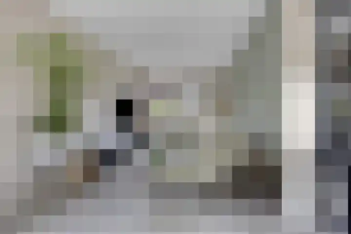 Singelberg 62 Hardenberg thumbnail 7