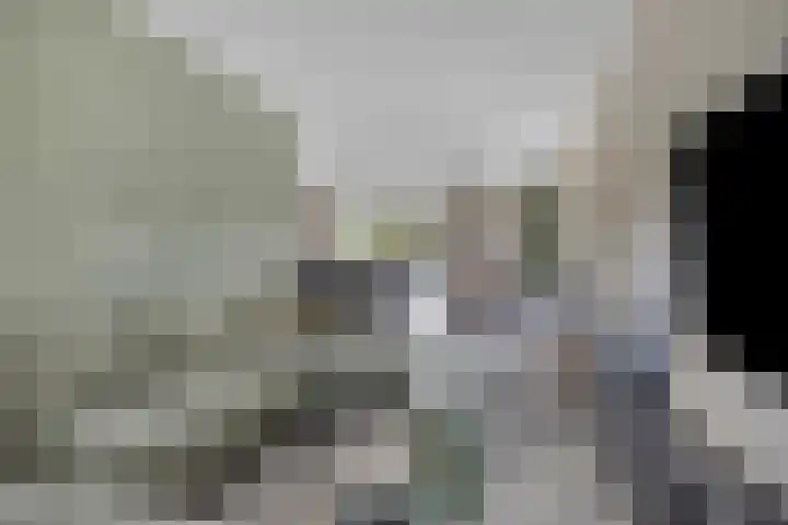 Singelberg 62 Hardenberg thumbnail 8