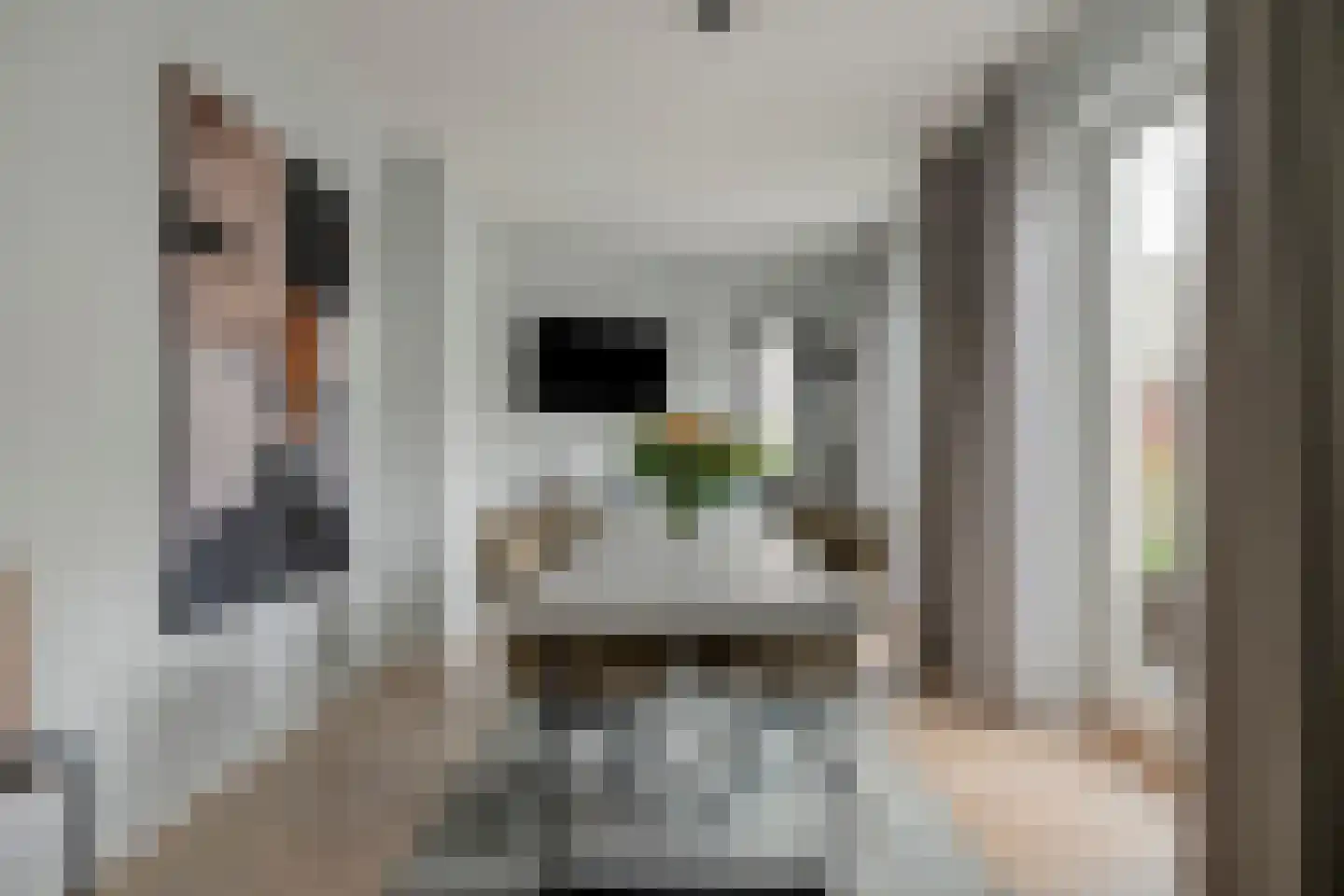 Singelbuurt 22 Purmerend thumbnail 15