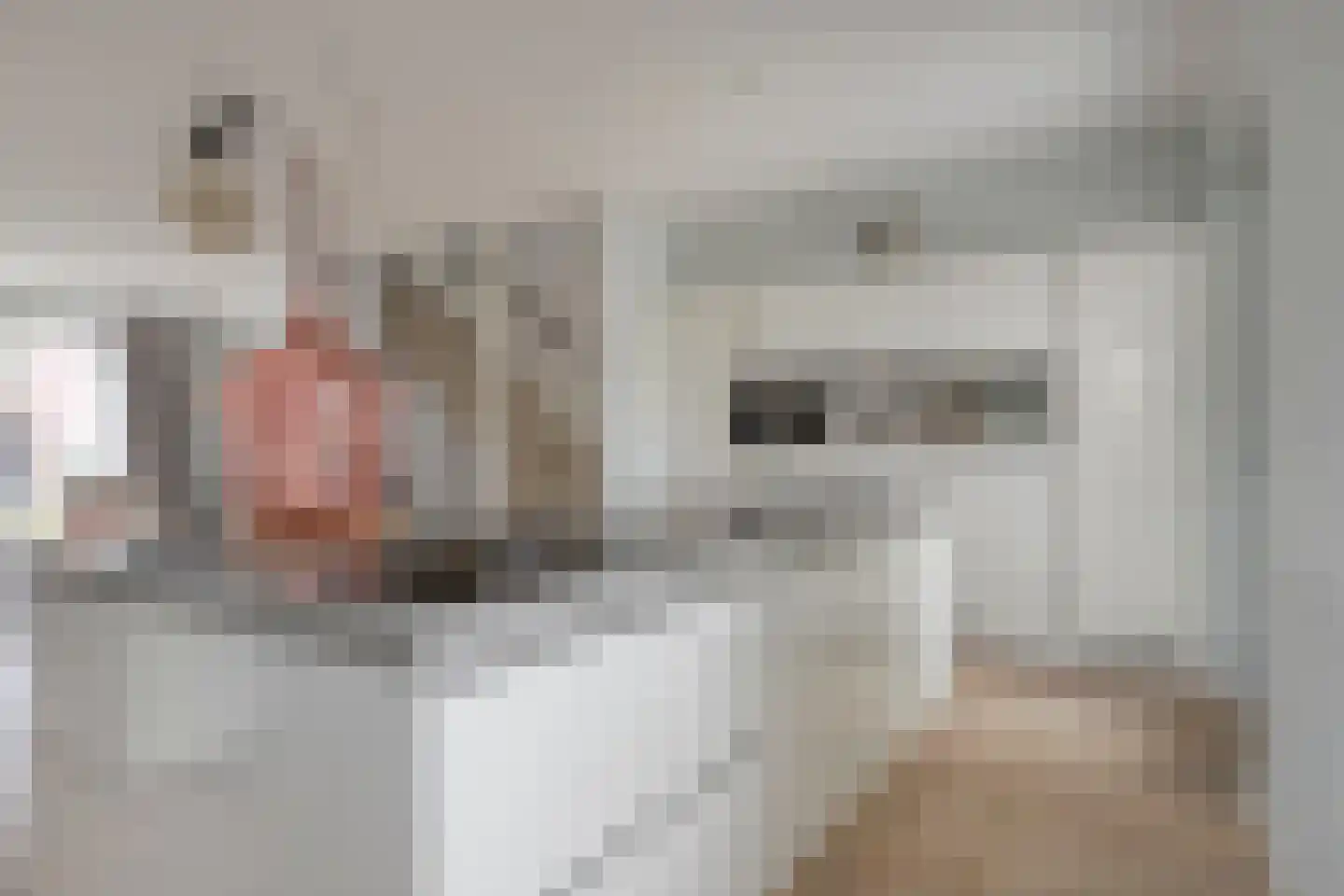 Singelbuurt 22 Purmerend thumbnail 18