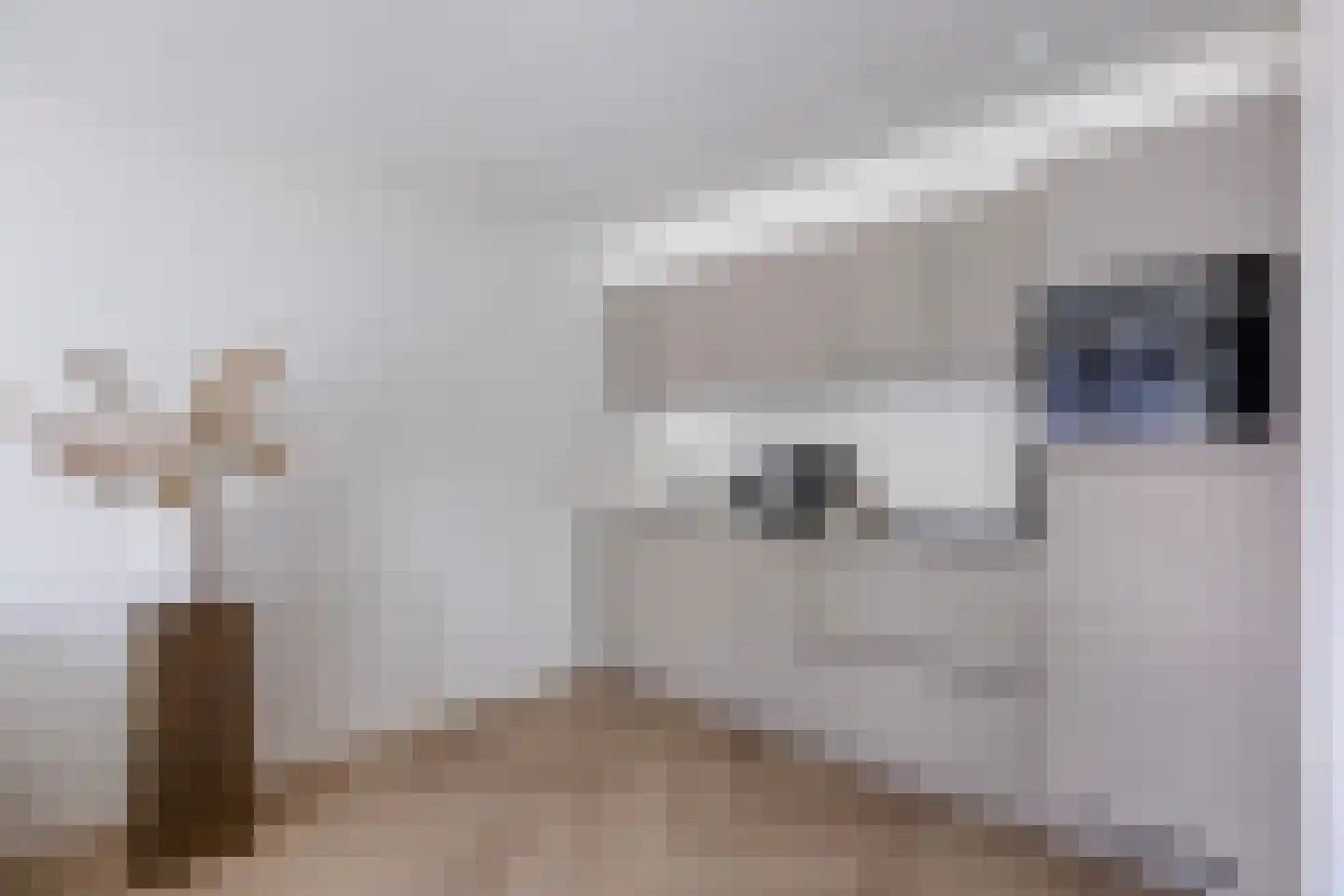 Singelbuurt 69 Purmerend thumbnail 6