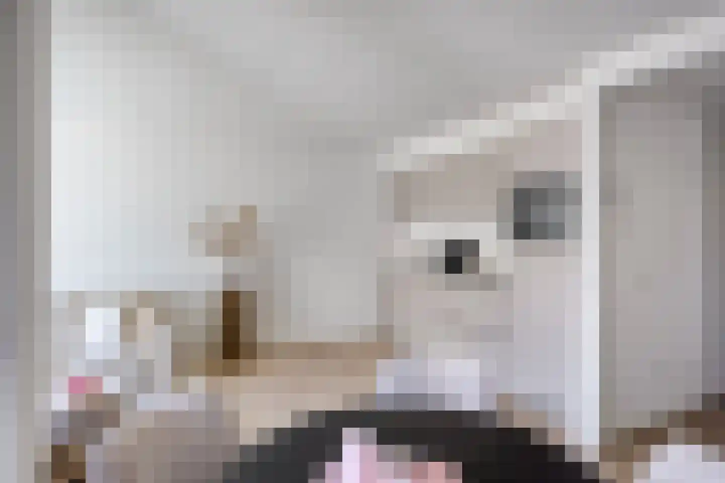 Singelbuurt 69 Purmerend thumbnail 7