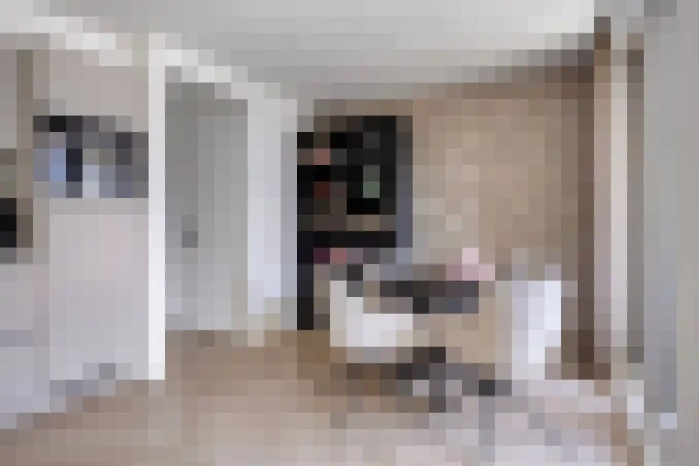 Singelbuurt 69 Purmerend thumbnail 8