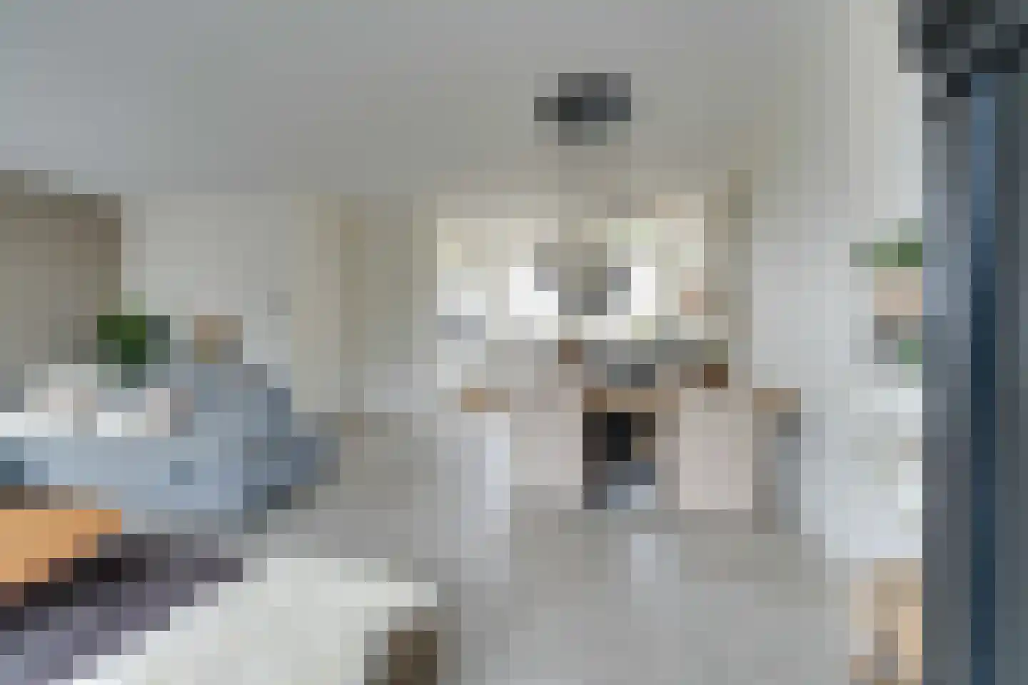 Singelbuurt 7 Purmerend thumbnail 17