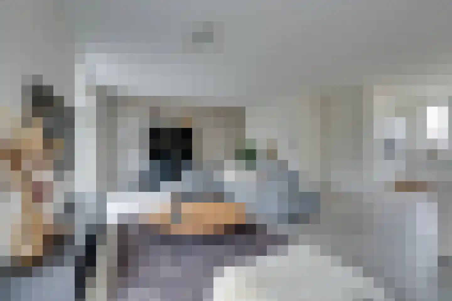 Singelbuurt 7 Purmerend thumbnail 18