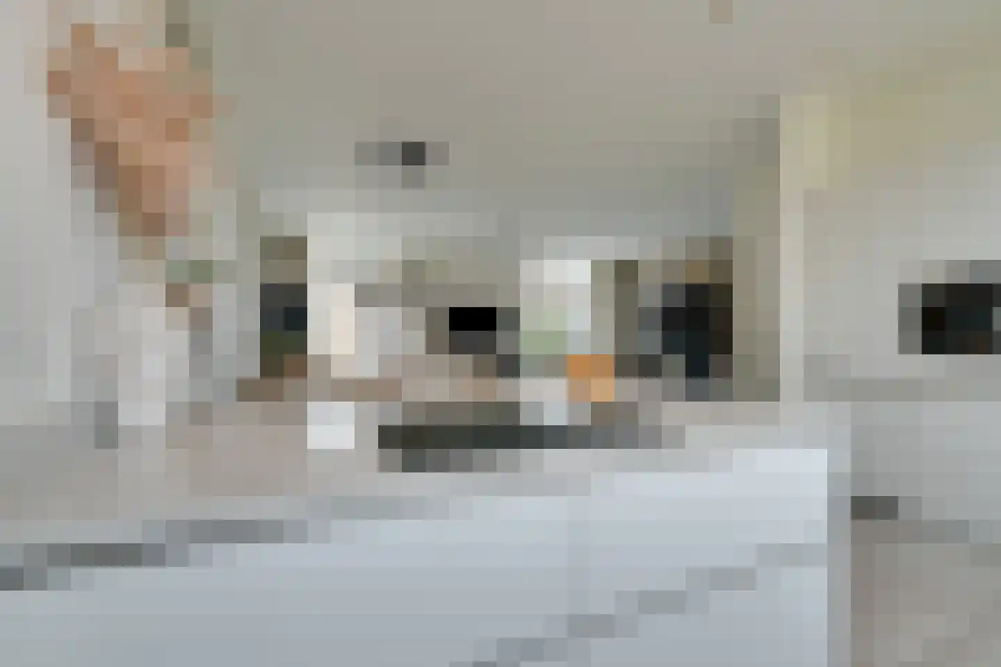 Singelbuurt 7 Purmerend thumbnail 27