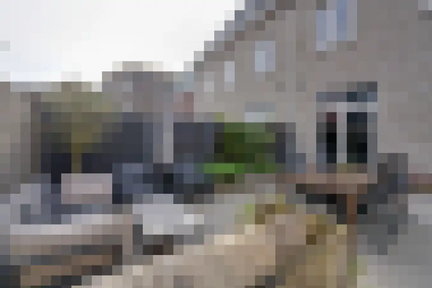 Singelbuurt 7 Purmerend thumbnail 33
