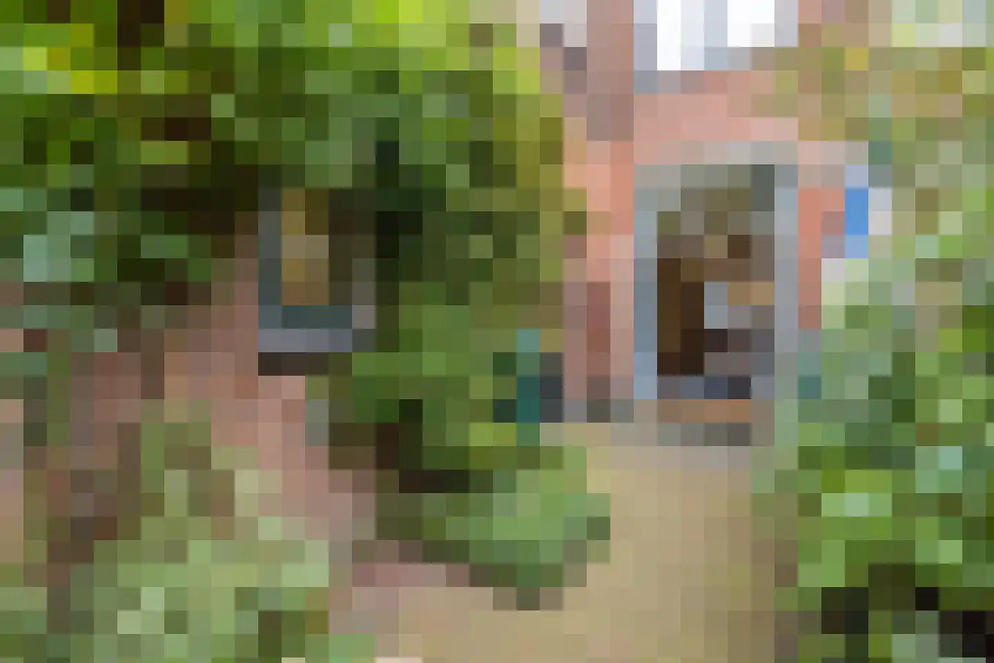 Singeldwarsstraat 13 Utrecht thumbnail 40