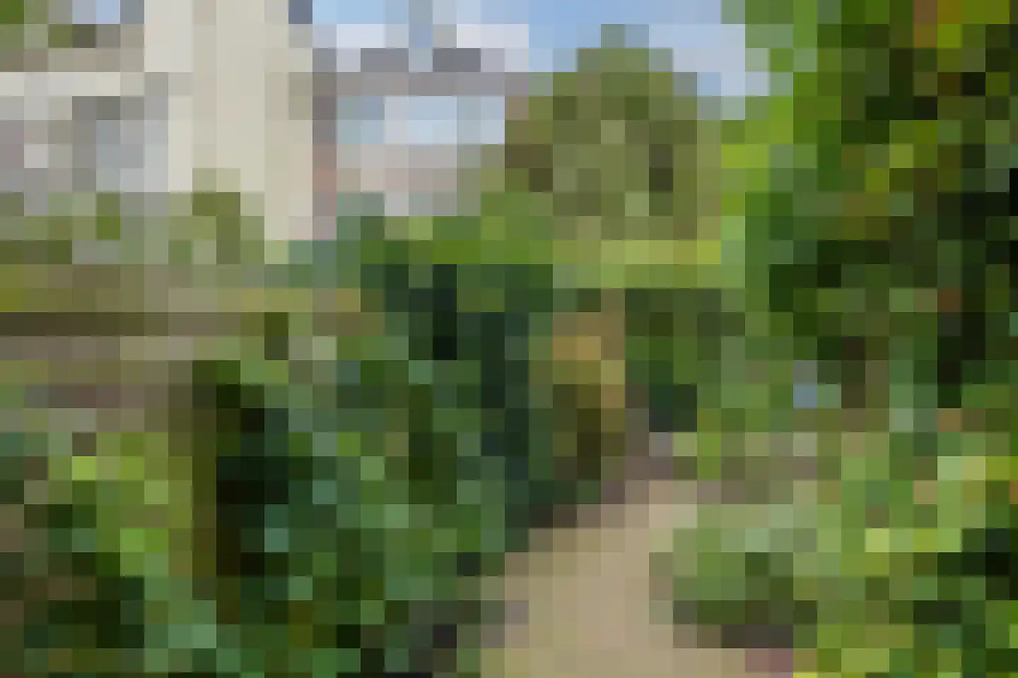 Singeldwarsstraat 13 Utrecht thumbnail 42