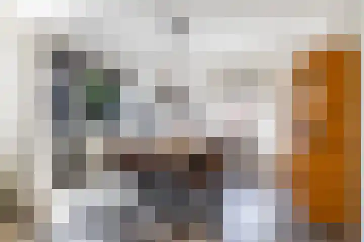 Singelhorn 1 Grijpskerk thumbnail 17