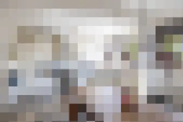 Singelhorn 1 Grijpskerk thumbnail 18