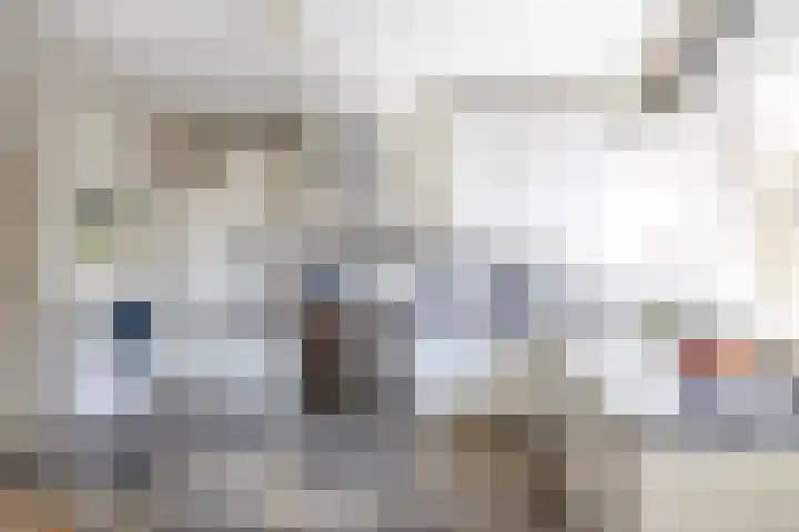 Singelhorn 1 Grijpskerk thumbnail 19