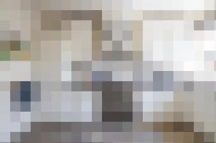 Singelhorn 1 Grijpskerk thumbnail 20
