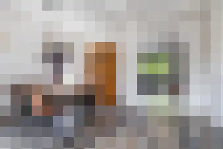 Singelhorn 1 Grijpskerk thumbnail 21