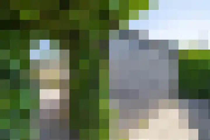 Singelhorn 1 Grijpskerk thumbnail 22