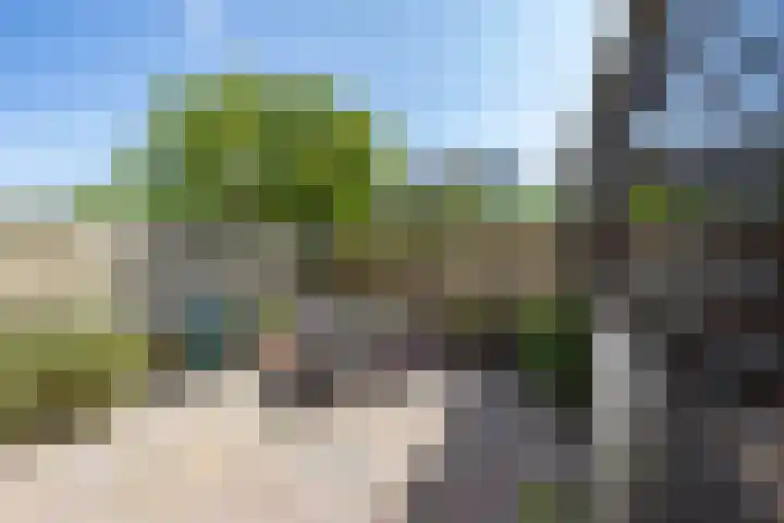Singelhorn 1 Grijpskerk thumbnail 23