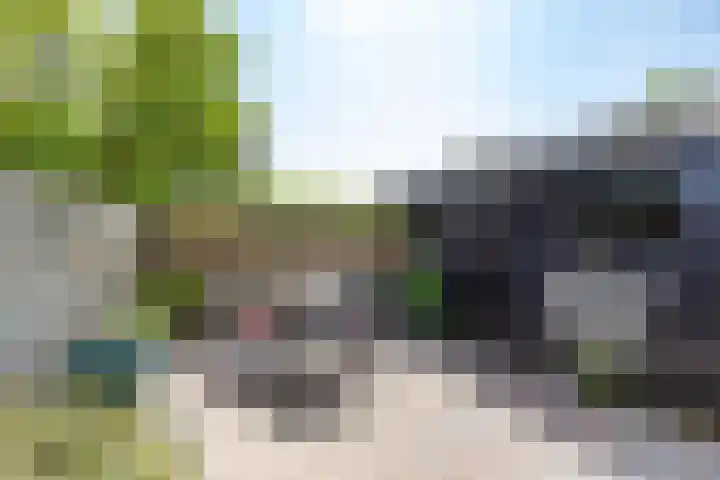 Singelhorn 1 Grijpskerk thumbnail 24
