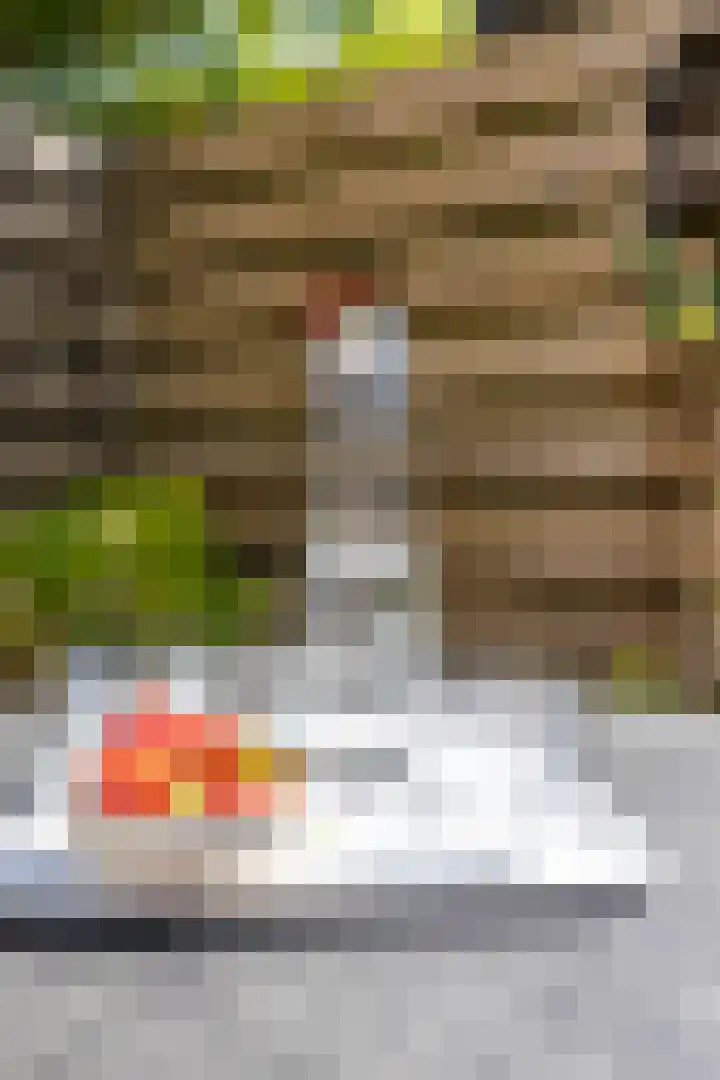 Singelhorn 1 Grijpskerk thumbnail 25