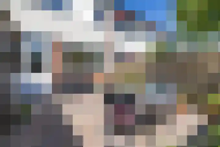 Singelhorn 1 Grijpskerk thumbnail 26