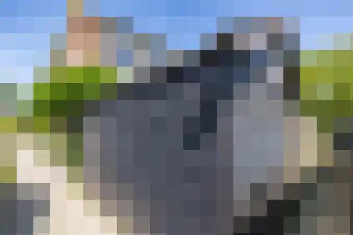 Singelhorn 1 Grijpskerk thumbnail 28