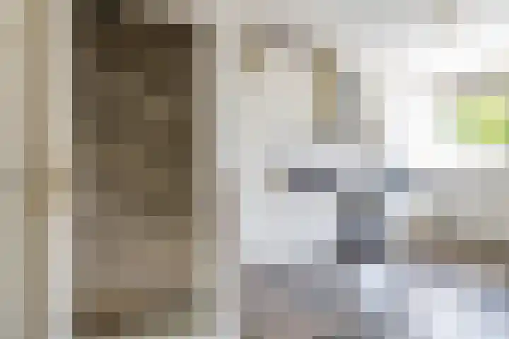 Singelhorn 1 Grijpskerk thumbnail 30