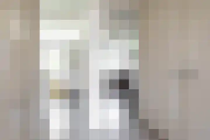 Singelhorn 1 Grijpskerk thumbnail 31