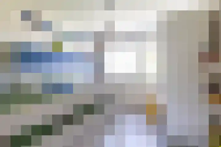 Singelhorn 1 Grijpskerk thumbnail 33