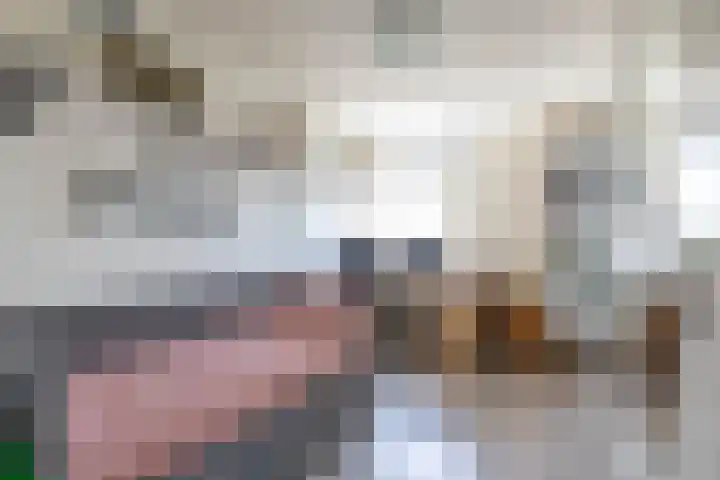 Singelhorn 1 Grijpskerk thumbnail 39