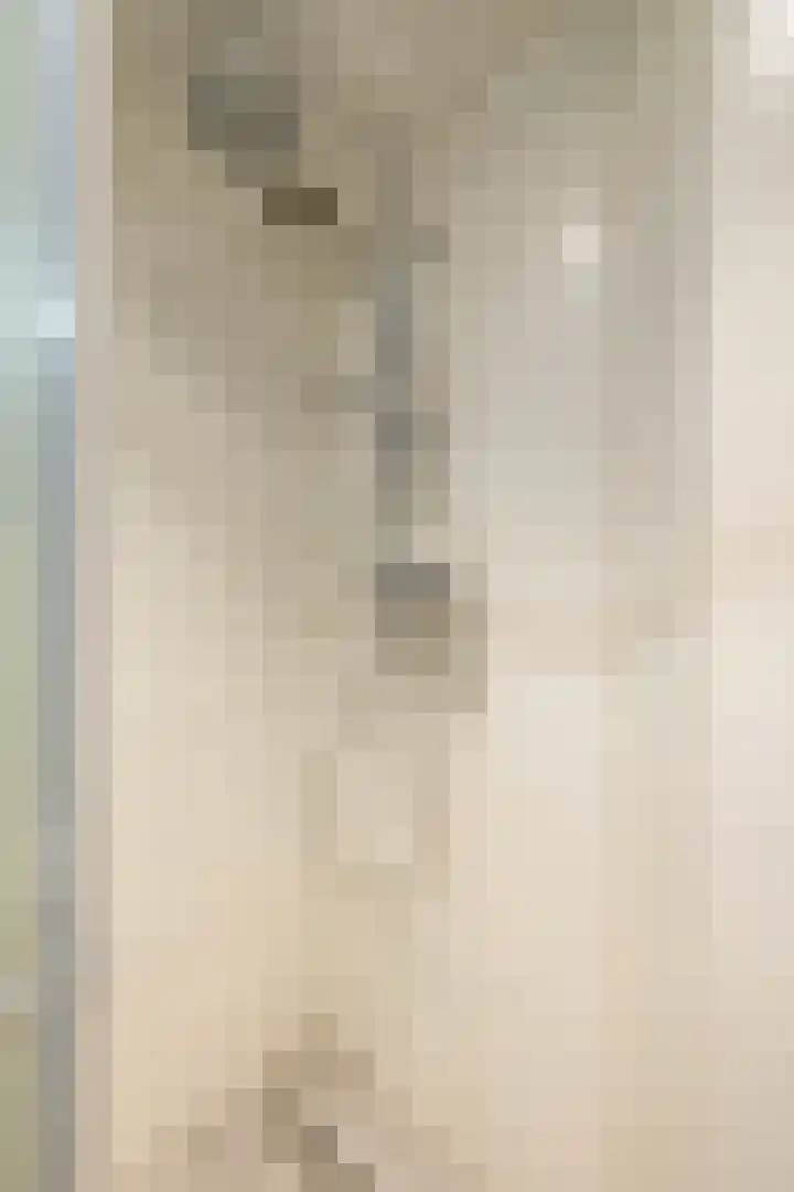 Singelhorn 1 Grijpskerk thumbnail 42
