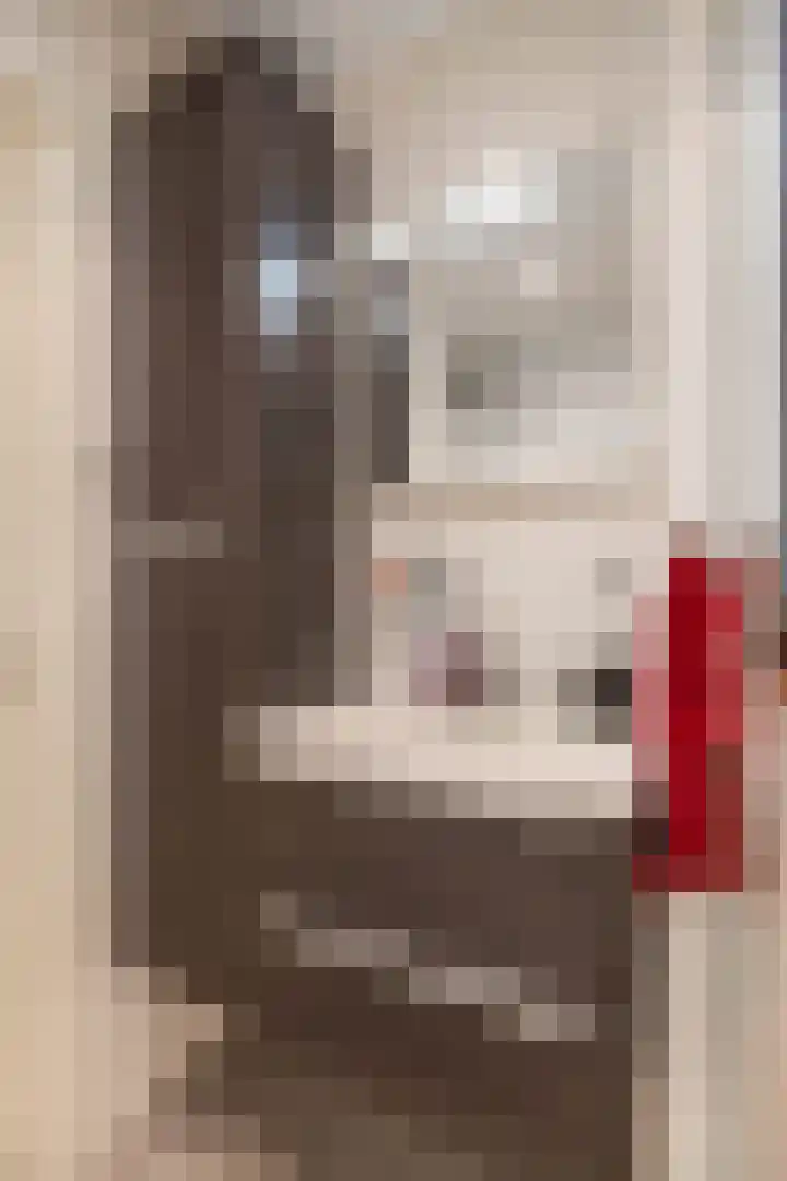 Singelhorn 1 Grijpskerk thumbnail 44