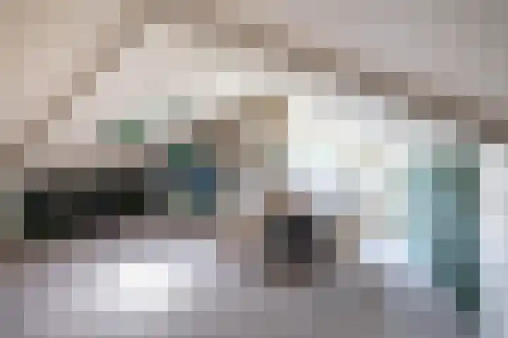 Singelhorn 1 Grijpskerk thumbnail 46