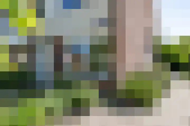 Singelhorn 1 Grijpskerk thumbnail 49